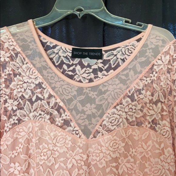 Pinup Style Baby Pink Lace & Mesh A-Line Dress - Picture 10 of 14